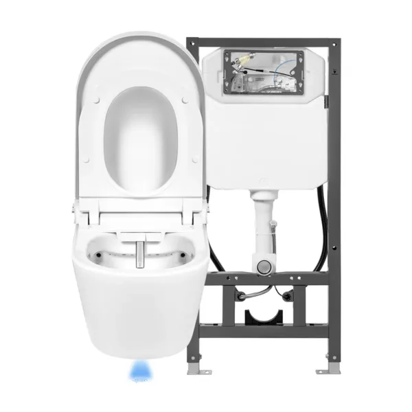 CleanWave Breeze® with concealed cistern